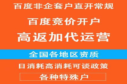 百度推广代理的精准营销策略及效果展示